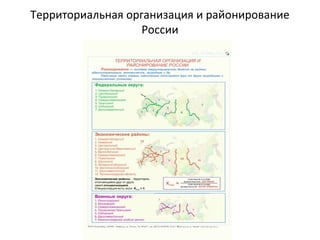 Территориальная организация и районирование
России
 