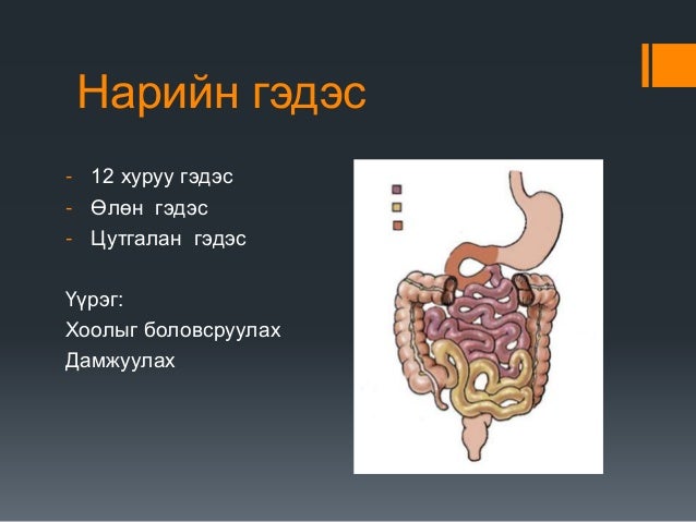 нарийн гэдсэнд хоол боловсрох