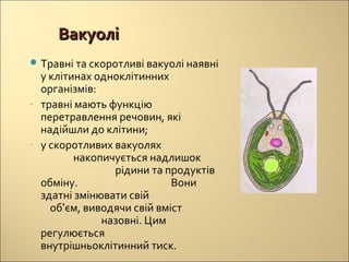 одномембранні органели | PPT