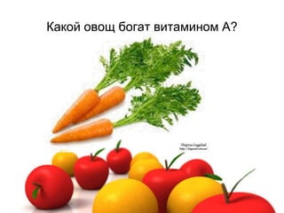Какой овощ богат витамином А?
 