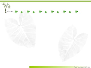 โรงเรียนผาเสวยรังสรรค์(ประเมินโรงเรียนพอเพียง)