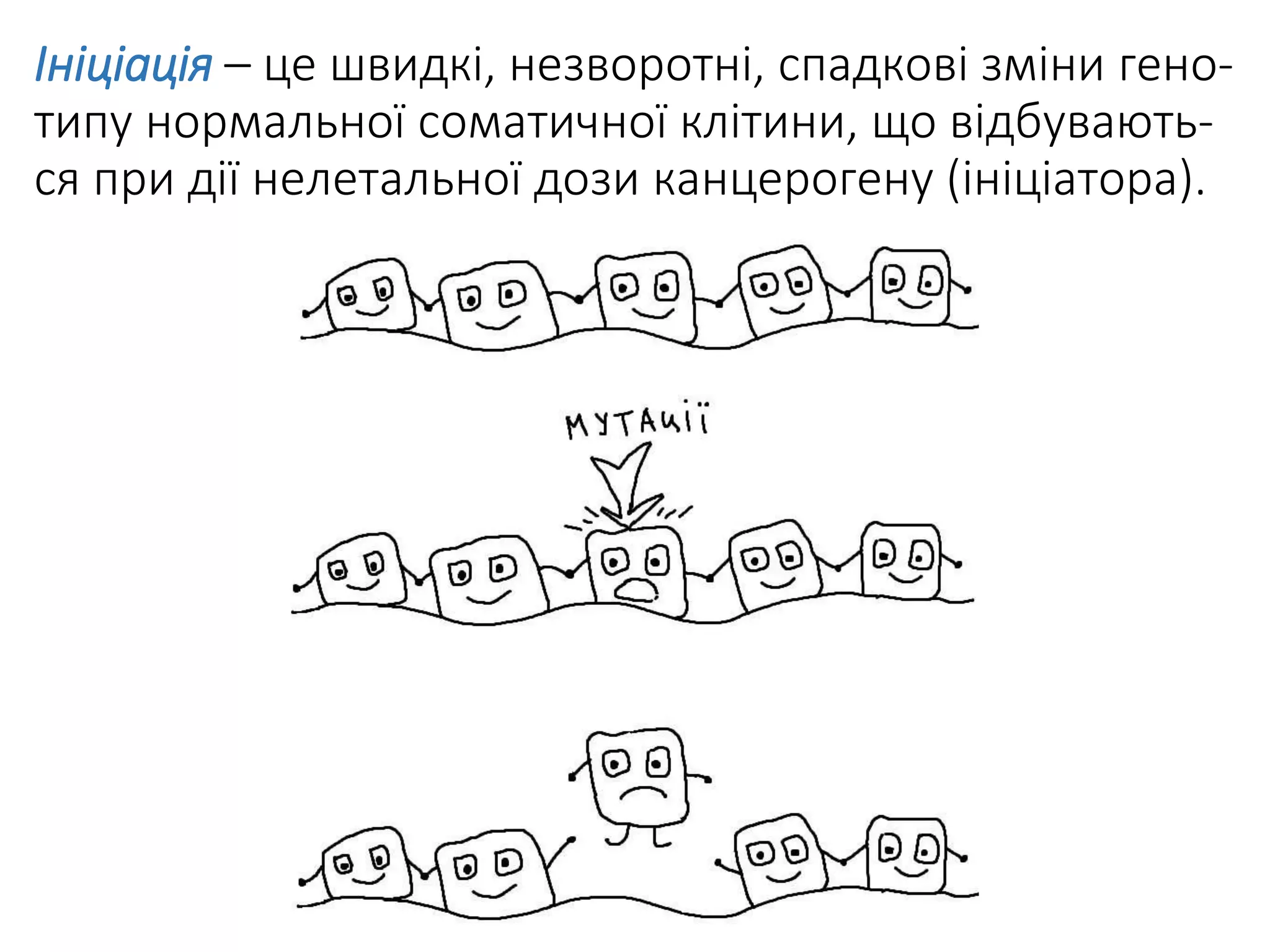 Ініціація – це швидкі, незворотні, спадкові зміни гено-
типу нормальної соматичної клітини, що відбувають-
ся при дії нелетальної дози канцерогену (ініціатора).
 