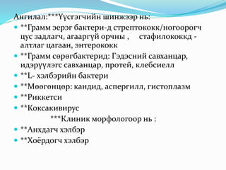 Ангилал:***Үүсгэгчийн шинжээр нь:
 **Грамм эерэг бактери-д стрептококк/ногоорогч
цус задлагч, агааргүй орчны , стафилококкд -
алтлаг цагаан, энтерококк
 **Грамм сөрөгбактерид: Гэдэсний савханцар,
идэрүүлэгс савханцар, протей, клебсиелл
 **L- хэлбэрийн бактери
 **Мөөгөнцөр: кандид, аспергилл, гистоплазм
 **Риккетси
 **Коксакивирус
***Клиник морфологоор нь :
 **Анхдагч хэлбэр
 **Хоёрдогч хэлбэр
 