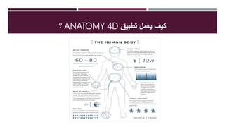 ‫تطبيق‬ ‫يعمل‬ ‫كيف‬ANATOMY 4‫؟Ĭ
 