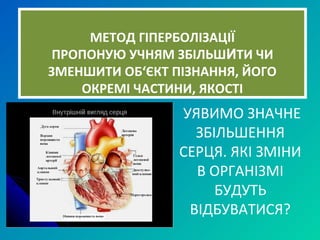 МЕТОД ГІПЕРБОЛІЗАЦІЇ
ПРОПОНУЮ УЧНЯМ ЗБІЛЬШИТИ ЧИ
ЗМЕНШИТИ ОБ‘ЄКТ ПІЗНАННЯ, ЙОГО
ОКРЕМІ ЧАСТИНИ, ЯКОСТІ
УЯВИМО ЗНАЧНЕ
ЗБІЛЬШЕННЯ
СЕРЦЯ. ЯКІ ЗМІНИ
В ОРГАНІЗМІ
БУДУТЬ
ВІДБУВАТИСЯ?
 