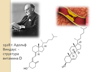 1928 г. Адольф
Виндаус -
структура
витамина D
 