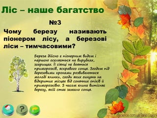 №3
Чому березу називають
піонером лісу, а березові
ліси – тимчасовими?
Береза дійсно є піонерним видом і
першою оселяється на вирубках,
згарищах. Її сіянці не бояться
приморозків, яскравого сонця. Згодом під
березовими кронами розвиваються
молоді ялинки, сходи яких гинуть на
відкритих місцях від сонячних опіків й
приморозківю. З часом ялина витісняє
березу, якій стає замало сонця.
 