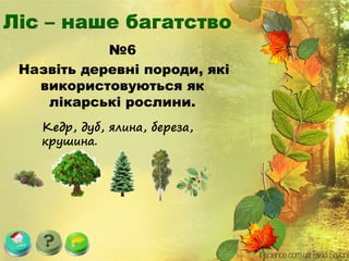 №6
Назвіть деревні породи, які
використовуються як
лікарські рослини.
Кедр, дуб, ялина, береза,
крушина.
 
