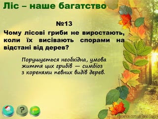 №13
Чому лісові гриби не виростають,
коли їх висівають спорами на
відстані від дерев?
Порушується необхідна, умова
життя цих грибів — симбіоз
з коренями певних видів дерев.
 