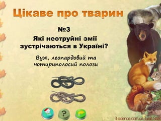 №3
Які неотруйні змії
зустрічаються в Україні?
Вуж, леопардовий та
чотириполосий полози
 