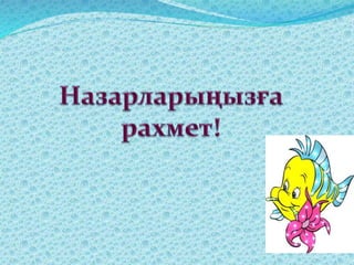 Ғажайып су асты әлемі