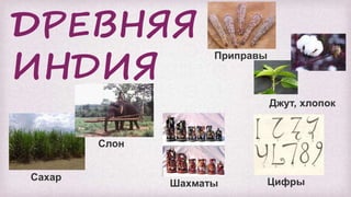 ДДРЕВНЯЯ
ИНДИЯ
ЦифрыШахматы
Сахар
Приправы
Слон
Джут, хлопок