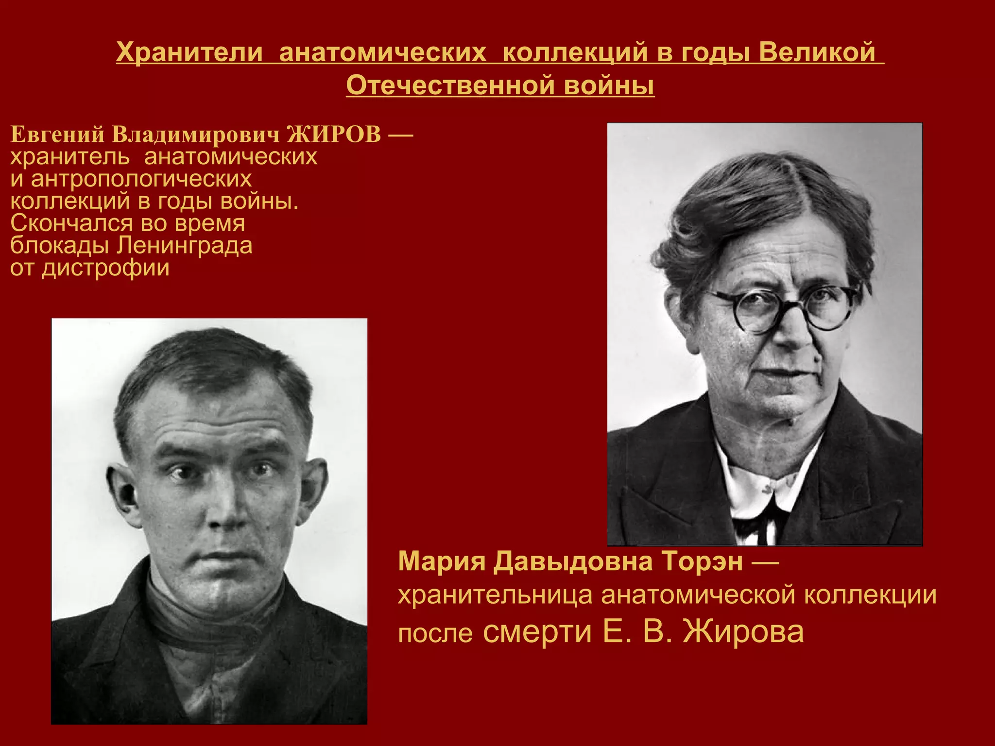 Евгений Владимирович ЖИРОВ —
хранитель анатомических
и антропологических
коллекций в годы войны.
Скончался во время
блокады Ленинграда
от дистрофии
Мария Давыдовна Торэн —
хранительница анатомической коллекции
после смерти Е. В. Жирова
Хранители анатомических коллекций в годы Великой
Отечественной войны
 