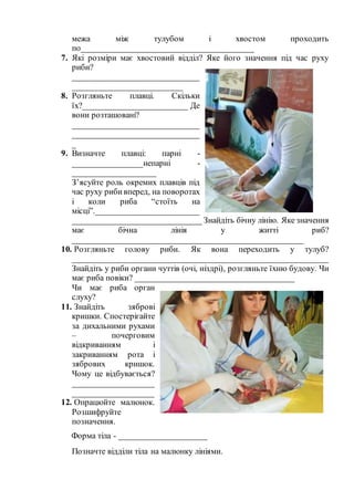 записо | PDF