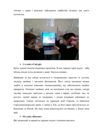 гілочки з дерев і ретельно майструють майбутню колиску для свого
потомства.
 16 слайд «Снігурі»
Крізь зимові заметілі пташенята прилетіли. В них червоні гарні груди – ніби
яблука усюди хтось розвісив у дворі. Звуться пташки…
Найкраще за все снігур оселяється в чагарникових заростях та густому
підліску хвойних і листяних фітоценозів. Його гнізда частенько можна
знайти в молодих ялинових лісонасадженнях, що забезпечують надійне
прикриття. Оскільки хвойних лісів на континенті стає все менше, снігурі
частіше знаходять притулок у міських садах і парках, особливо там, де
ростуть хвойні дерева та чагарники, і умови існування наближені до
природних. Снігур гніздиться на території всієї Європи, за винятком
Середземноморських країн, а також в Азії, де його ареал простягається до
Камчатки та Японії. На зиму птахи відкочовують на південь, у більш теплі
краї.
 18 слайд «Повзик»
Він маленький та юркий по деревах ходить і комахам шкодить.
 