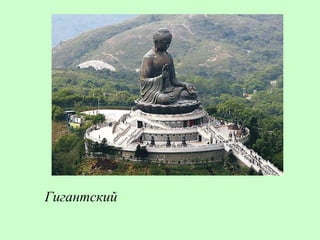 Гигантский
 