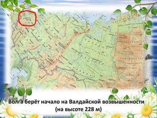 Волга берёт начало на Валдайской возвышенности
(на высоте 228 м)
 