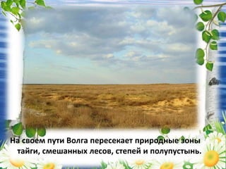 На своем пути Волга пересекает природные зоны
тайги, смешанных лесов, степей и полупустынь.
 