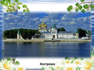 Кострома
 