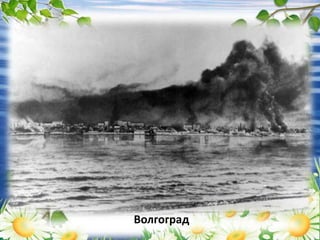 Волгоград
 