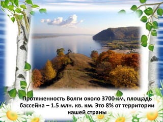 Протяженность Волги около 3700 км, площадь
бассейна – 1.5 млн. кв. км. Это 8% от территории
нашей страны
 