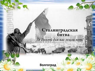 Волгоград
 