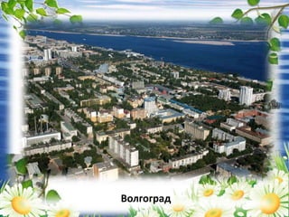 Волгоград
 