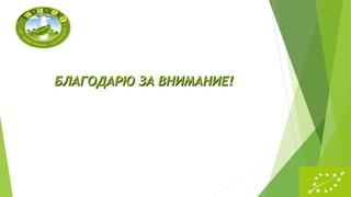 БЛАГОДАРЮ ЗА ВНИМАНИЕ!БЛАГОДАРЮ ЗА ВНИМАНИЕ!
 
