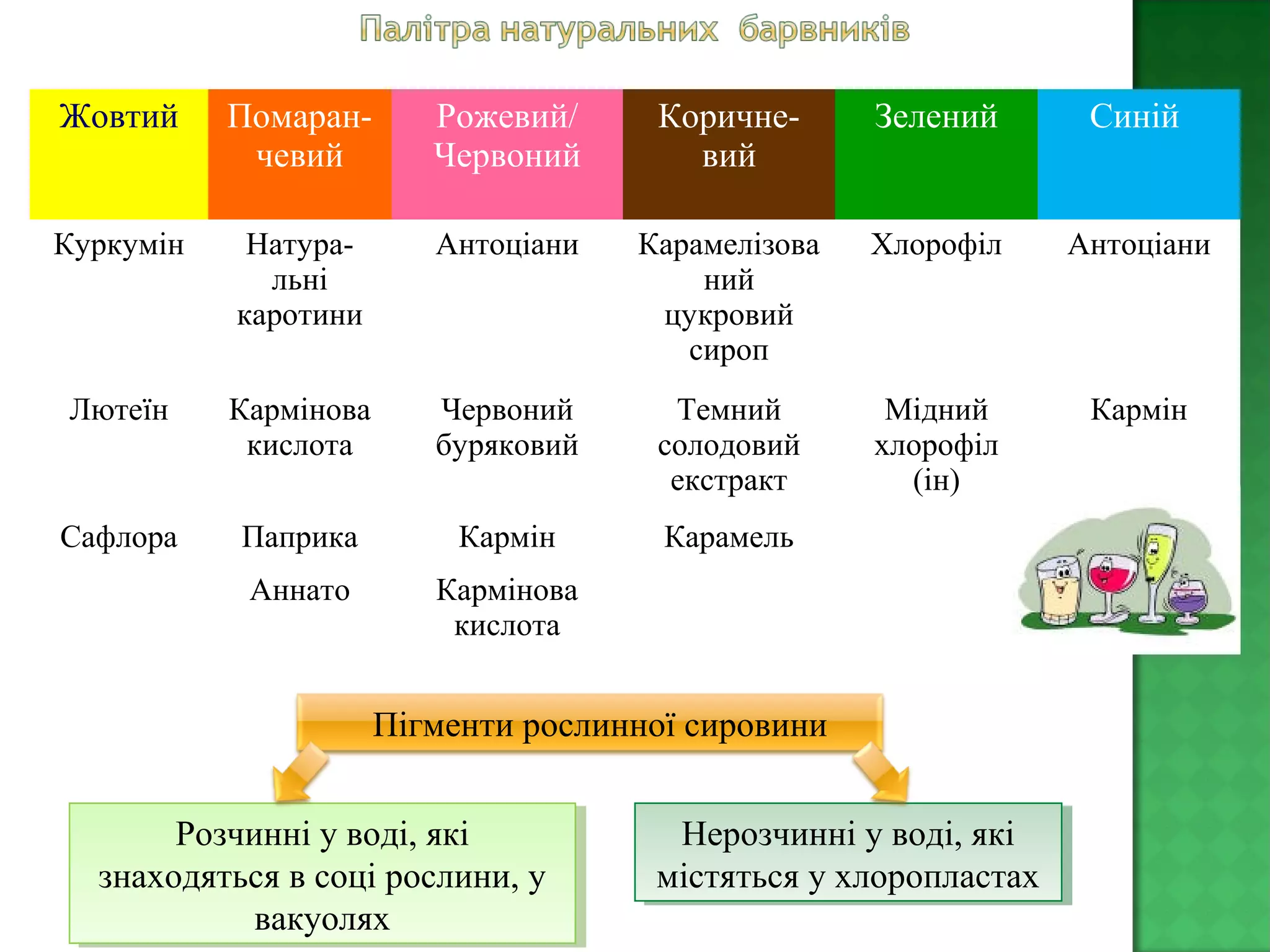 Жовтий Помаран-
чевий
Рожевий/
Червоний
Коричне-
вий
Зелений Синій
Куркумін Натура-
льні
каротини
Антоціани Карамелізова
ний
цукровий
сироп
Хлорофіл Антоціани
Лютеїн Кармінова
кислота
Червоний
буряковий
Темний
солодовий
екстракт
Мідний
хлорофіл
(ін)
Кармін
Сафлора Паприка Кармін Карамель
Аннато Кармінова
кислота
Пігменти рослинної сировини
Розчинні у воді, які
знаходяться в соці рослини, у
вакуолях
Розчинні у воді, які
знаходяться в соці рослини, у
вакуолях
Нерозчинні у воді, які
містяться у хлоропластах
Нерозчинні у воді, які
містяться у хлоропластах
 