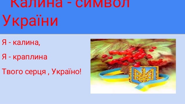 Калина значение символ