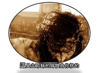 這是主耶穌的身體為你捨的
 