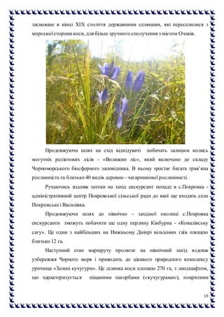 10
засноване в кінці ХІХ століття державними селянами, які переселилися з
морськоїстороникоси, для більш зручного сполучення з містом Очаків.
Продовжуючи шлях на схід відвідувачі побачать залишок колись
могутніх реліктових лісів - «Волижин ліс», який включено до складу
Чорноморського біосферного заповідника. В ньому зростає багата трав’яна
рослинність та близько 40 видів деревно - чагарникової рослинності.
Рухаючись вздовж затоки на захід екскурсант попаде в с.Покровка -
адміністративний центр Покровської сільської ради до якої ще входять села
Покровськеі Василівка.
Продовжуючи шлях до північно - західної околиці с.Покровка
екскурсанти зможуть побачити ще одну перлину Кінбурна - «Ковалівську
сагу». Це один з найбільших на Нижньому Дніпрі вільхових гаїв площею
близько 12 га.
Наступний етап маршруту пролягає на північний захід вздовж
узбережжя Чорного моря і приводить до цікавого природного комплексу
урочища «Зелені кучугури». Це ділянка коси площею 270 га, з ландшафтом,
що характеризується піщаними пагорбами («кучугурами»), покритими
 