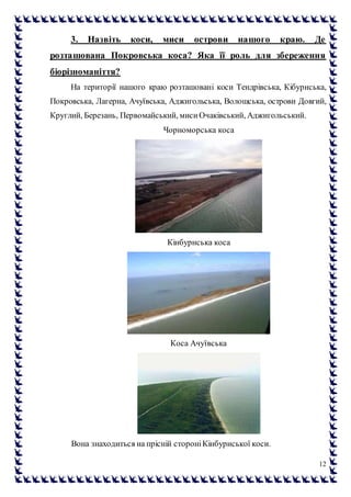 12
3. Назвіть коси, миси острови нашого краю. Де
розташована Покровська коса? Яка її роль для збереження
біорізноманіття?
На території нашого краю розташовані коси Тендрівська, Кібурнська,
Покровська, Лагерна, Ачуївська, Аджигольська, Волошська, острови Довгий,
Круглий, Березань, Первомайський, мисиОчаківський, Аджигольський.
Чорноморська коса
Кінбурнська коса
Коса Ачуївська
Вона знаходиться на прісній стороніКінбурнської коси.
 