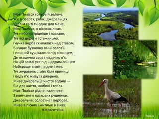 Моє Полісся голубе й зелене,
Усе в озерах, ріках, джерельцях.
У цілім світі ти одне для мене,
Моє Полісся, в вікових лісах.
Тут небо найрідніше і ласкаве,
Тут всі дороги і стежки мої.
Гнучка верба схилилася над ставом,
В кущах бузкових вічні солов’ї.
І пишний кущ калини під віконцем,
Де пташечка своє гніздечко в’є.
На цій землі усе під щедрим сонцем
Найкраще в світі, рідне і моє.
Тут журавель стоїть біля криниці
І воду п’є живу із джерела.
Живе джерельце чистої водиці —
Б’є для життя, любові і тепла.
Моє Полісся рідне, калинове,
Заквітчане в казкових рушниках.
Джерельне, солов’їне і вербове,
Живе в піснях і житиме в віках.
Н.Красоткіна
 