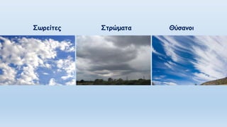Σωρείτες Στρώματα Θύσανοι
 