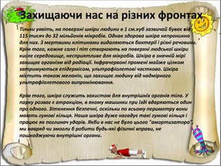 Захищаючи нас на різних фронтах
Тільки уявіть, на поверхні шкіри людини в 1 см.куб зазвичай буває від
115 тисяч до 32 мільйонів мікробів. Однак здорова шкіра непроникна
для них. З мертвими клітинами видаляються бактерії і різні речовини.
Крім того, кожне сало і піт створюють на поверхні людської шкіри
кисле середовище, несприятливе для мікробів. Шкіра в значній мірі
захищає організм від радіації. Інфрачервоні промені майже цілком
затримуються епідермісом, ультрафіолетові частково. Шкіра
містить також меланін, що захищає людину від надмірного
ультрафіолетового випромінювання.
Крім того, шкіра служить захистом для внутрішніх органів тіла. У
парку розваг є атракціон, в якому машинки при їзді вдаряються один
про одного. Зіткнення безпечні, оскільки по всьому периметру вони
мають гумові кільця. Наша шкіра дуже нагадує такі гумові кільця і
працює як поглинач ударів. Якби в нас не було цього "амортизатора",
ми навряд чи змогли б робити будь-які фізичні вправи, не
пошкоджуючи внутрішні органи.
 