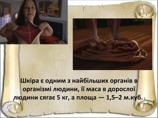 Шкіра є одним з найбільших органів в
організмі людини, її маса в дорослої
людини сягає 5 кг, а площа — 1,5–2 м.куб.
 