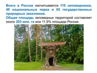 Всего в России насчитывается 110 заповедников,
49 национальных парка и 65 государственных
природных заказников.
Общая площадь заповедных территорий составляет
около 203 млн. га или 11,9% площади России.
 