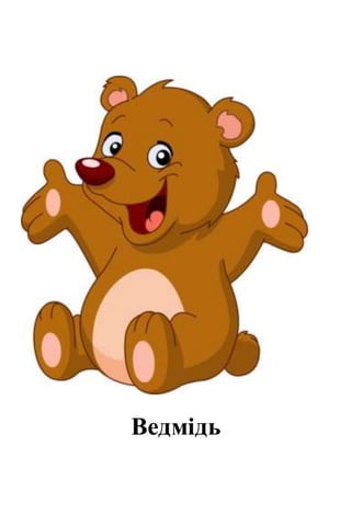 Ведмідь
 