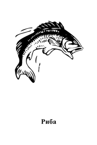 Риба
 