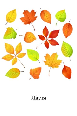 Листя
 