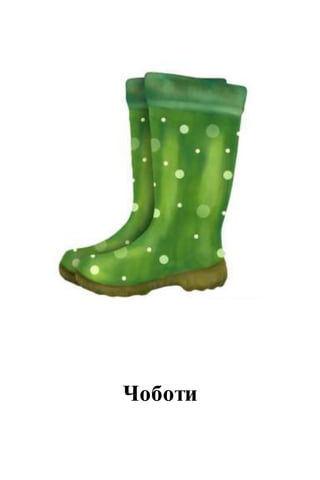 Чоботи
 