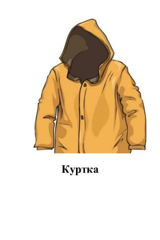 Куртка
 