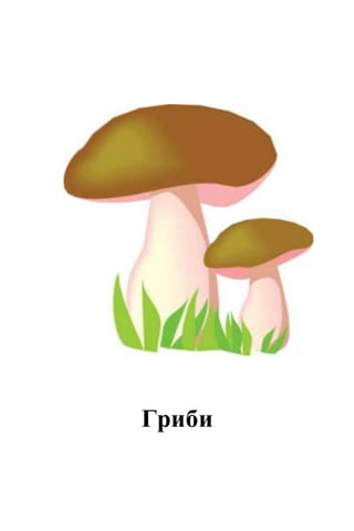 Гриби
 