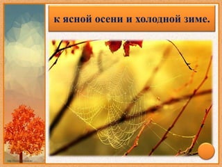 Много паутины на бабье лето –к ясной осени и холодной зиме.
 