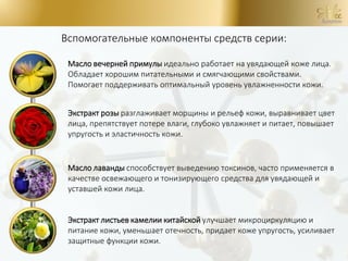 Масло вечерней примулы идеально работает на увядающей коже лица.
Обладает хорошим питательными и смягчающими свойствами.
Помогает поддерживать оптимальный уровень увлажненности кожи.
Экстракт розы разглаживает морщины и рельеф кожи, выравнивает цвет
лица, препятствует потере влаги, глубоко увлажняет и питает, повышает
упругость и эластичность кожи.
Масло лаванды способствует выведению токсинов, часто применяется в
качестве освежающего и тонизирующего средства для увядающей и
уставшей кожи лица.
Экстракт листьев камелии китайской улучшает микроциркуляцию и
питание кожи, уменьшает отечность, придает коже упругость, усиливает
защитные функции кожи.
Вспомогательные компоненты средств серии:
 
