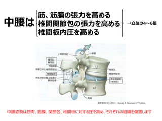 ĤΏߤ
׵gvΏߤ
׵gڈRߤ

ǸΤΥͥ` Donald A. Neumann 2nd Edition
λ46
˄ݤϽ⡢Ĥv׵gˌRߤᡢ줾νMޤ
 
