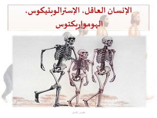 ،‫الوبتيكوس‬‫ر‬‫اإلست‬ ،‫العاقل‬ ‫اإلنسان‬
‫يكتوس‬‫ر‬‫الهوموإ‬
‫اإلنسان‬ ‫تطـــور‬
 