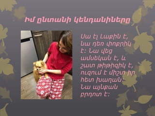 Իմ ընտանի կենդանիները
Սա էլ Լաքին է,
նա դեռ փոքրիկ
է: Նա վեց
ամսեկան է, և
շատ թիթիզիկ է,
ուզում է միշտ իր
հետ խաղան:
Նա այնքան
բրդոտ է:
 