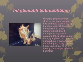 Իմ ընտանի կենդանիները
Սա յորկ ցեղատեսակի
շնիկ է: Նա շատ խելացի է,
երբ ես նրան ասում եմ, որ
նա գնա անկյուն կանգնի,
նա գնում է և երկու
ձեռքերով հենվում է
պատին ու սպասում
այնքան մինչև մենք նրան
հետ չկանչենք: Նա երբեմն
ցանկանում է բարձրանալ
սեղանի վրա, բայց երբ ես
նրան ասում եմ, որ չի
կարելի, նա խելոք իջնում
է ներքև:
 